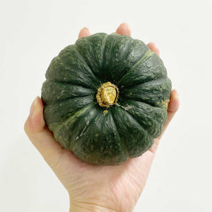 26년 첫 수확 제주 햇 미니 밤호박 단호박 보우짱 1.5kg 3kg 5... 맛있게 먹은 솔직 후기 - 상품 이미지 4
