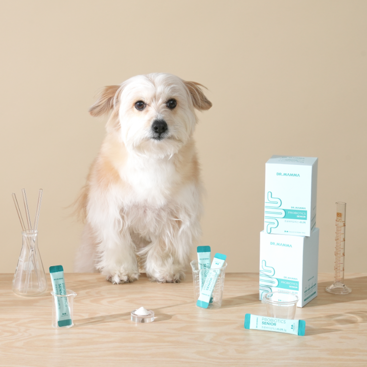 닥터맘마 강아지 고양이 시니어 유산균 노견 노묘 변비 소화 1개월분 30포 - 상세 이미지 4
