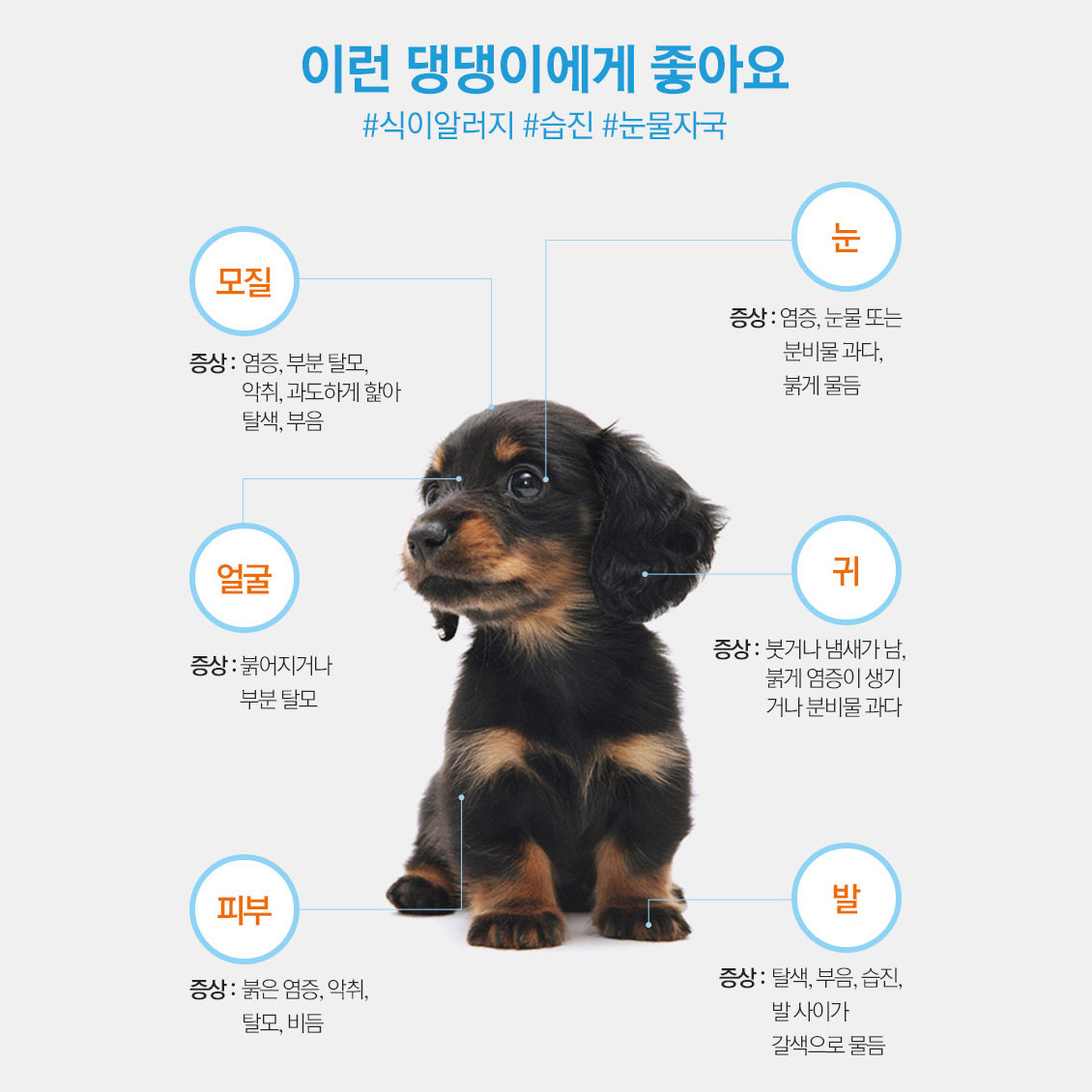 아이디얼레시피 울트라 스킨케어 피부 눈물사료 3kg - 상세 이미지 2