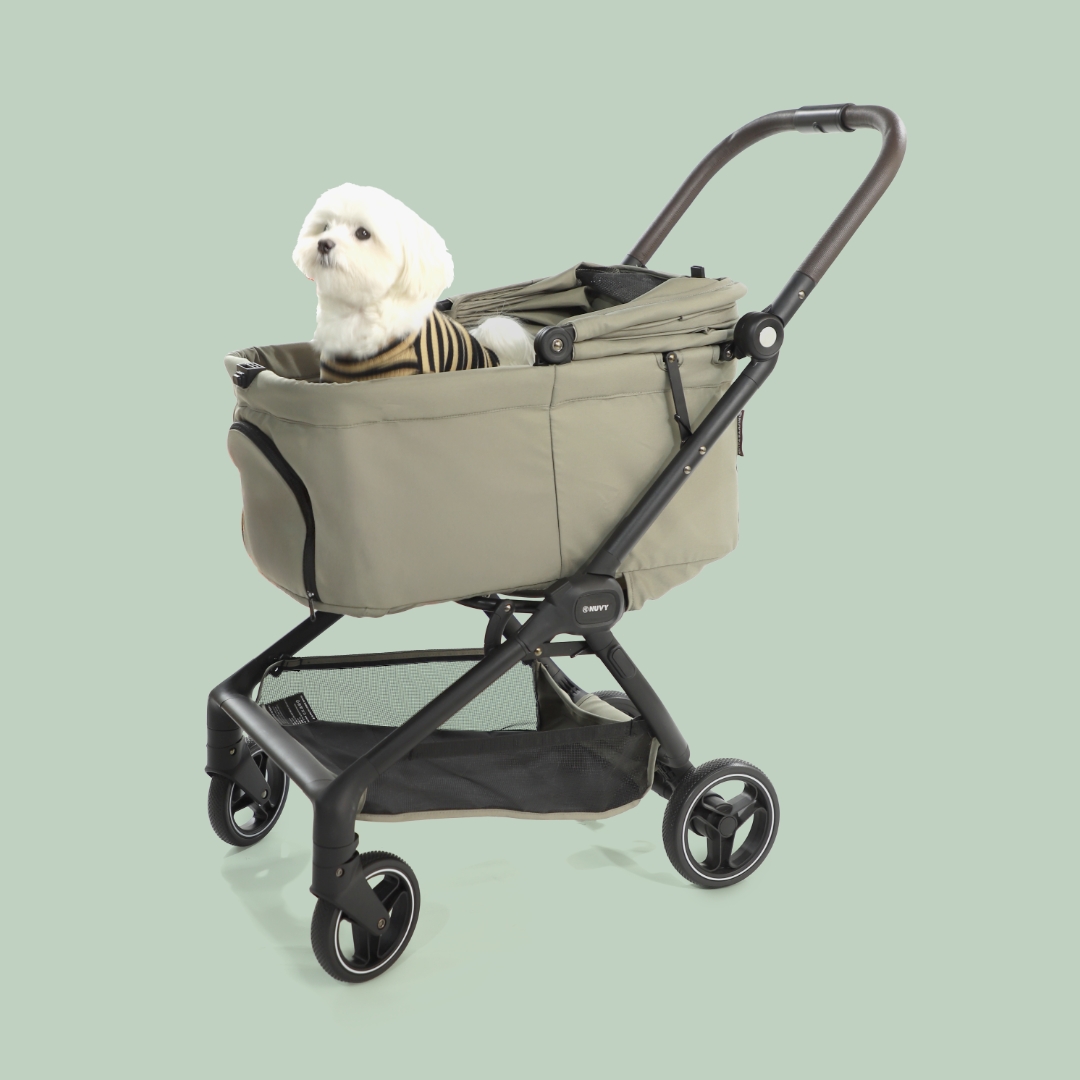 오토폴딩 강아지유모차 NUVY 누비 펫유모차 가벼운 개모차 애견 노견산책 헤이즐그린, FREE(One size)