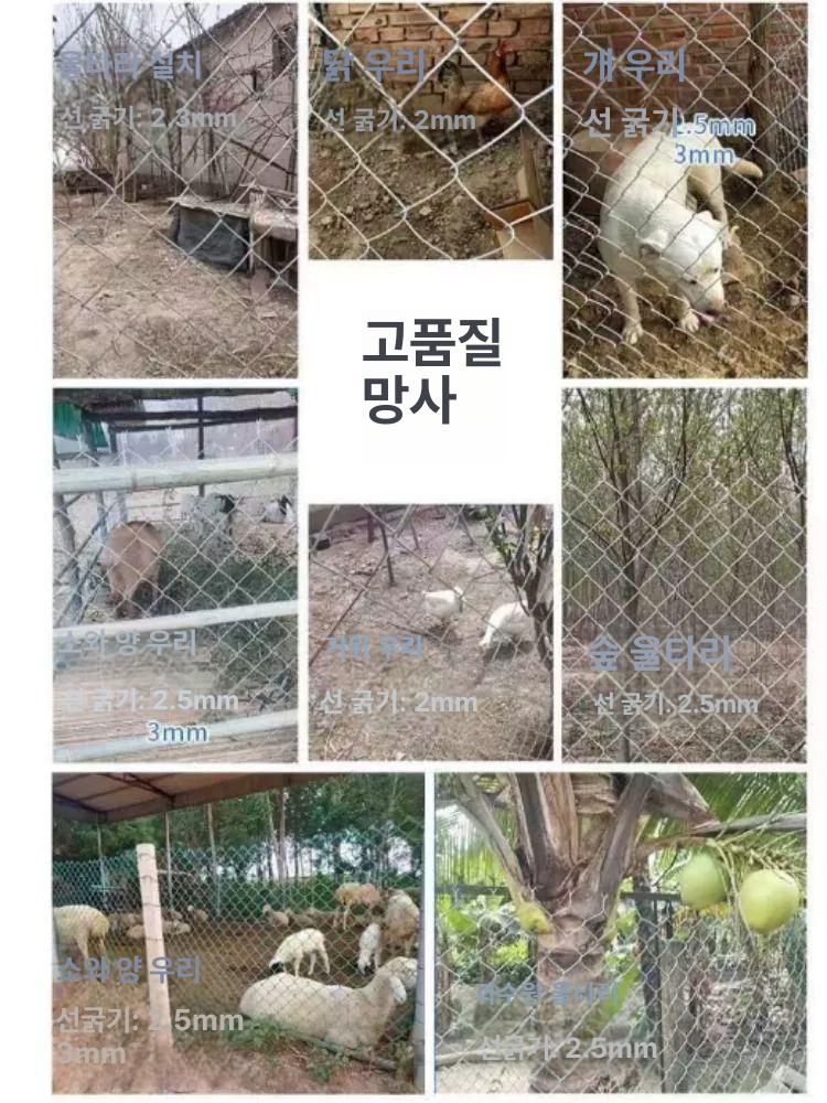 아연 능형망 멧돼지 안전망 울타리 아연망 아연도금 1.5m 높이 6구멍 2.0T 30m 전강 1.2m 높이 2.0 6cm 20m - 상세 이미지 5