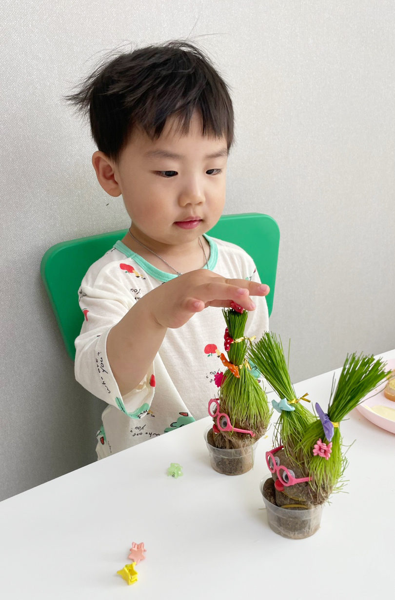 잔디인형 만들기 키트 반려식물 DIY 잔디 키우기 - 상세 이미지 4