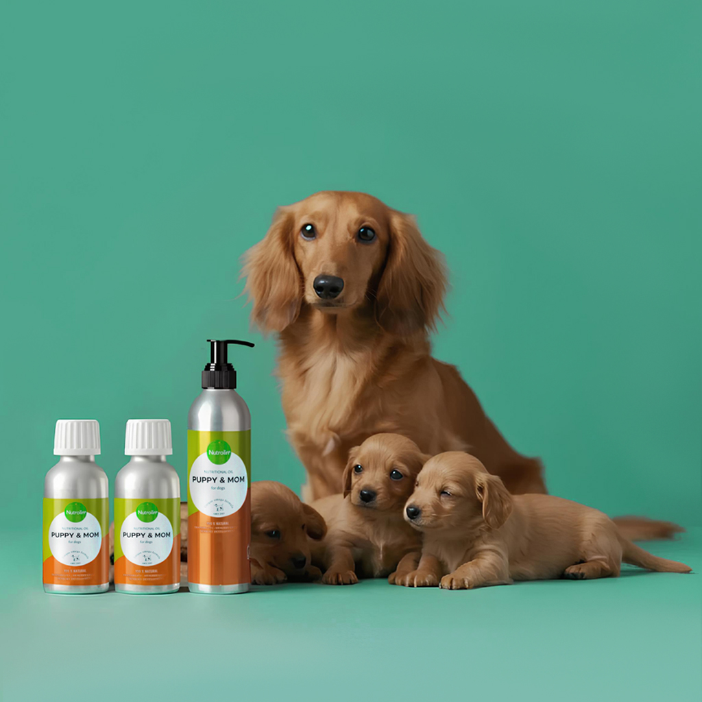 강아지 임신견 영양제 알러지 반려견 핀란드 오메가3 뉴트롤린 퍼피앤맘 260ml - 상세 이미지 4
