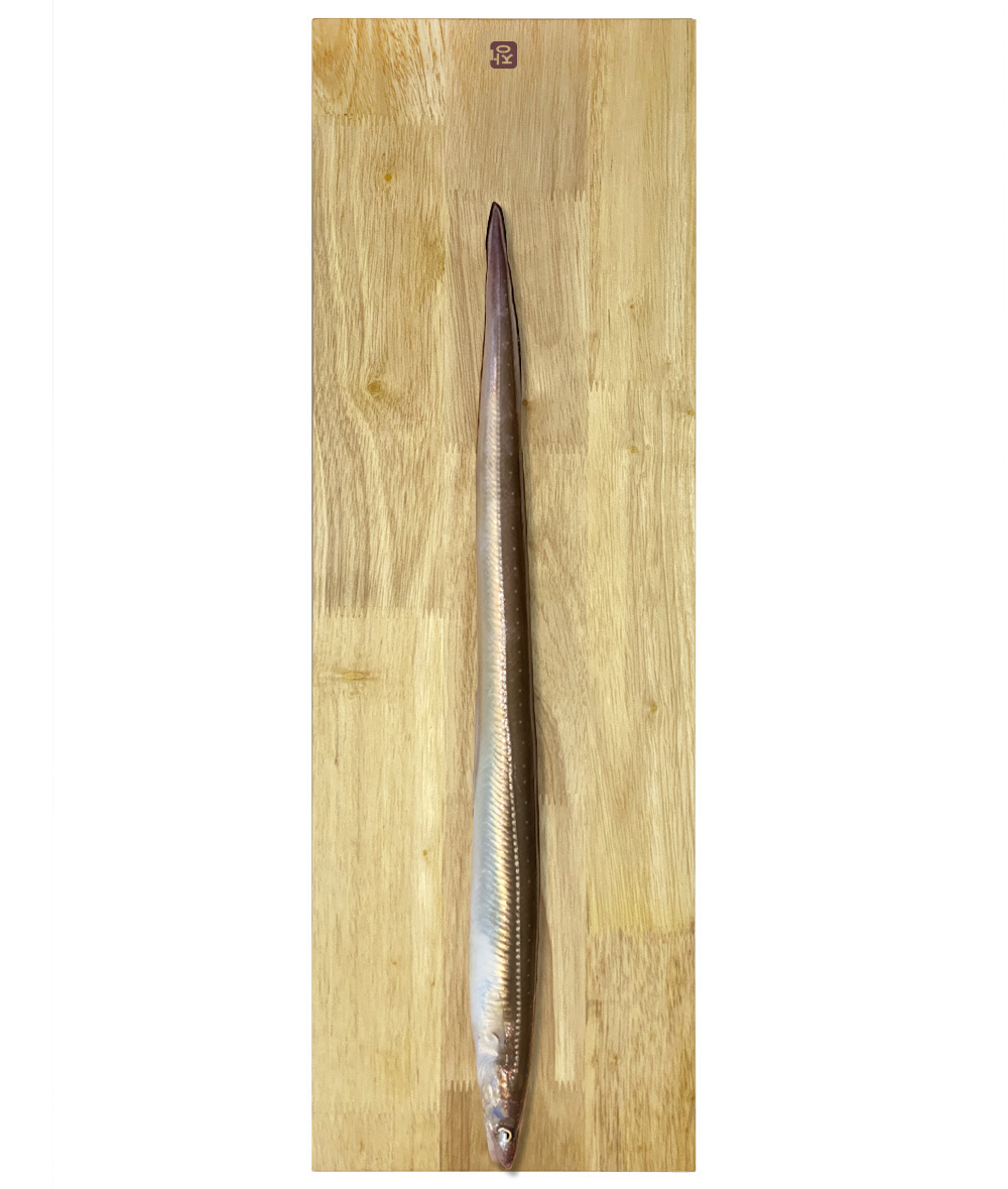 생선 장어·갈치 손질 전용 원목 송곳 도마 낚시·식당·업소용 200mm 24T - 상세 이미지 4