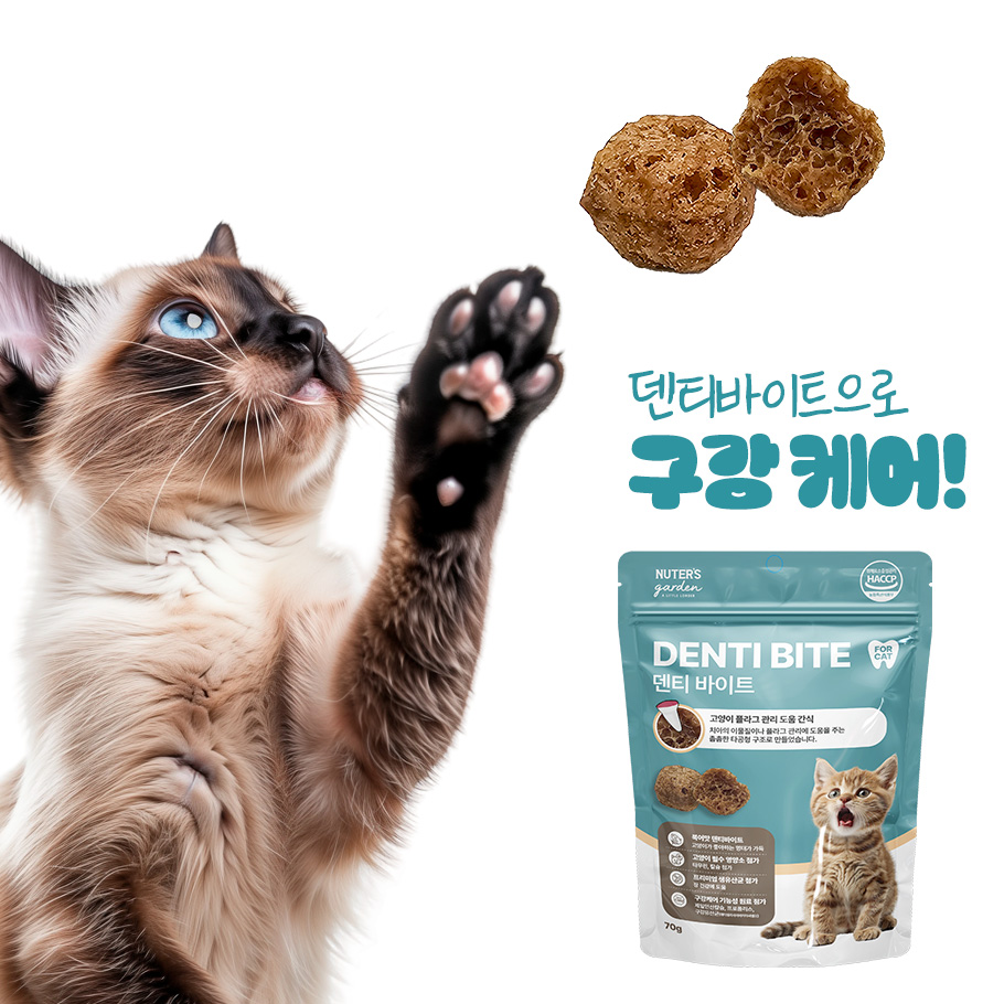누터스가든 덴티바이트 고양이 간식 이빨과자 덴탈 고양이과자 대용량 치석제거, 70g, 3개 - 상세 이미지 2