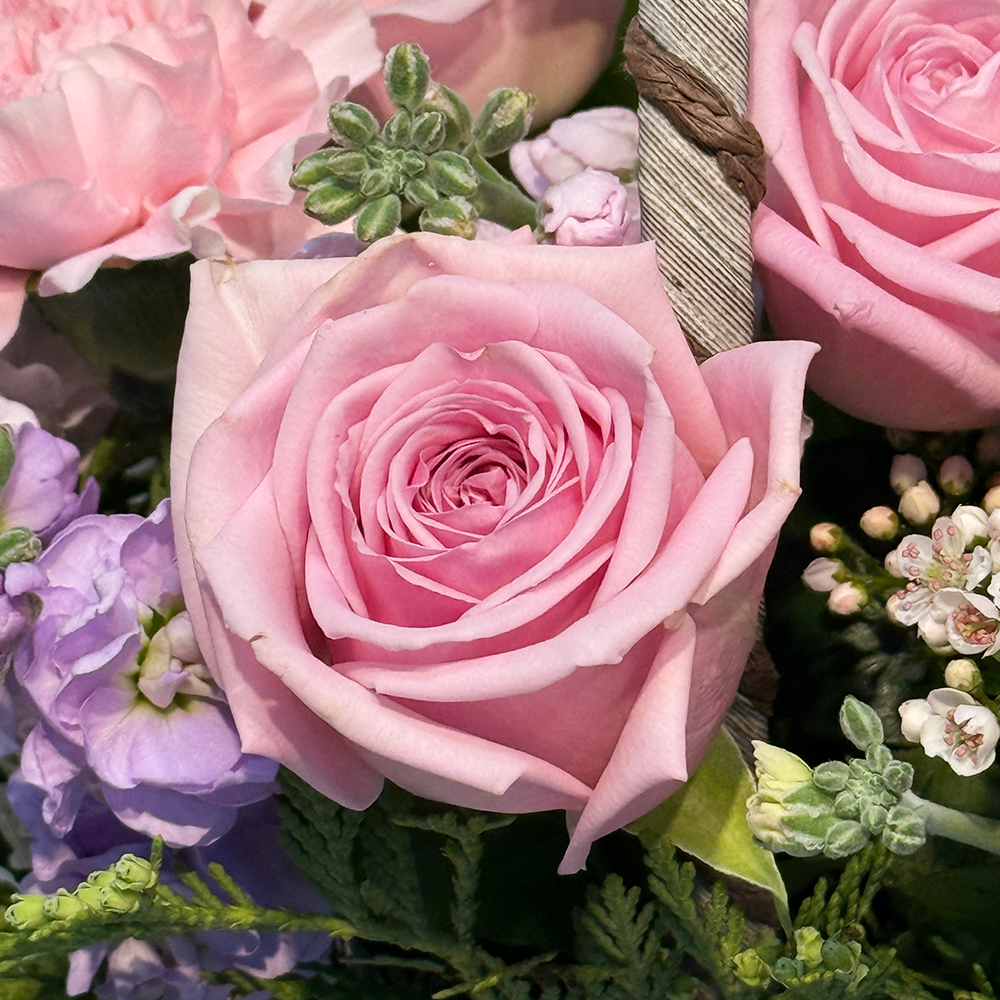 경기 포천 핑크 카네이션 꽃바구니 어버이날 스승의날 꽃배달 부모님 생신 선물 생화 농장직영 - 상세 이미지 4