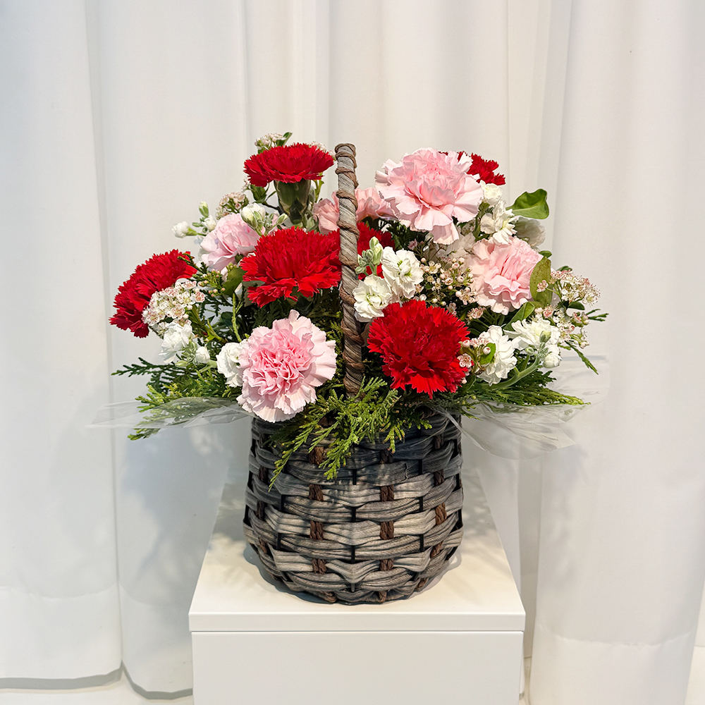 충북 청주 레드 핑크 카네이션 꽃바구니 어버이날 스승의날 꽃배달 부모님 선물 생화 농장직영