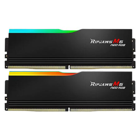 G.SKILL G.SKILL DDR5-6000 CL30 RIPJAWS M5 NEO RGB 블랙 패키지 (64GB(32Gx2))