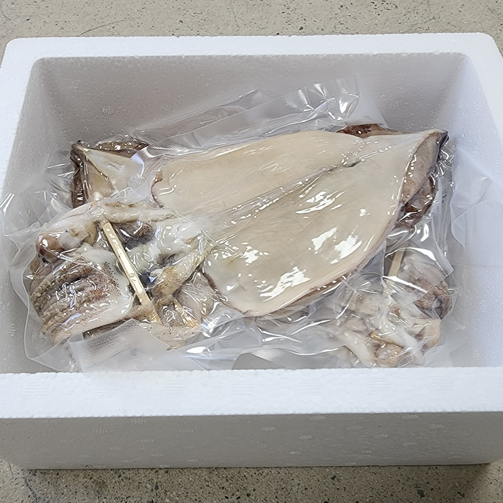 해풍담은 반건조 피데기 마른오징어 포항 구룡포 이미지 6