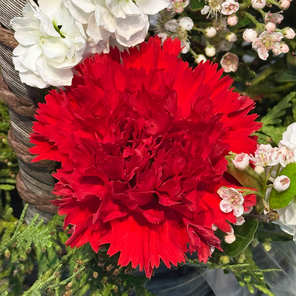 충북 청주 레드 핑크 카네이션 꽃바구니 어버이날 스승의날 꽃배달 부모님 선물 생화 농장직영