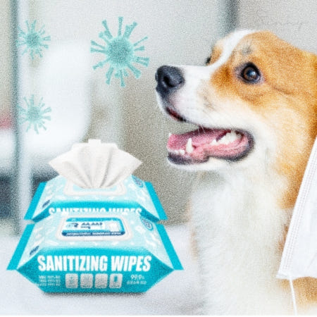 지앤리협력사 지앤리샵 닥터티슈 소독티슈 60매 강아지물티슈