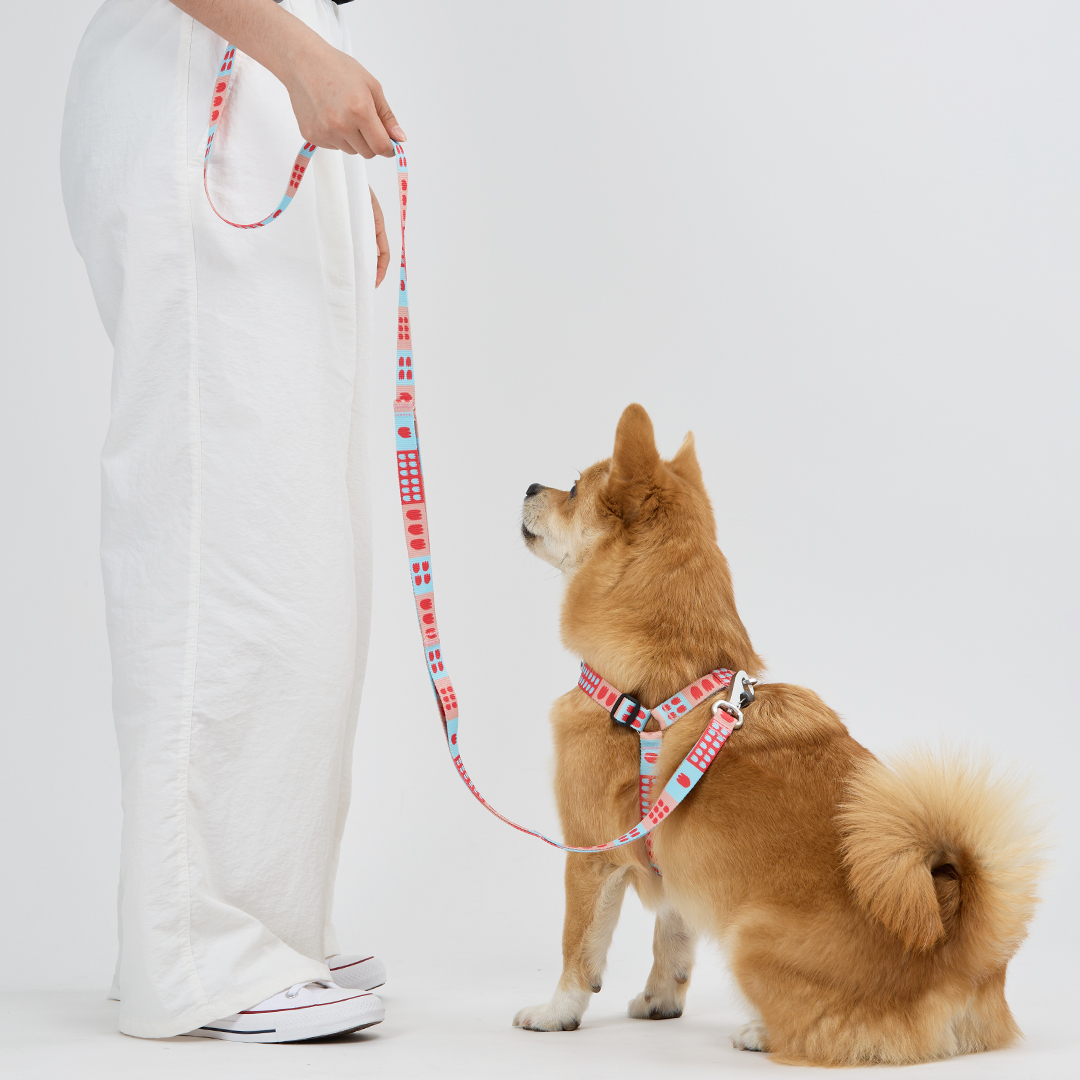 일로 리쉬 리드줄 반려견 산책용품 2m 피버, 2.4m 핸즈프리