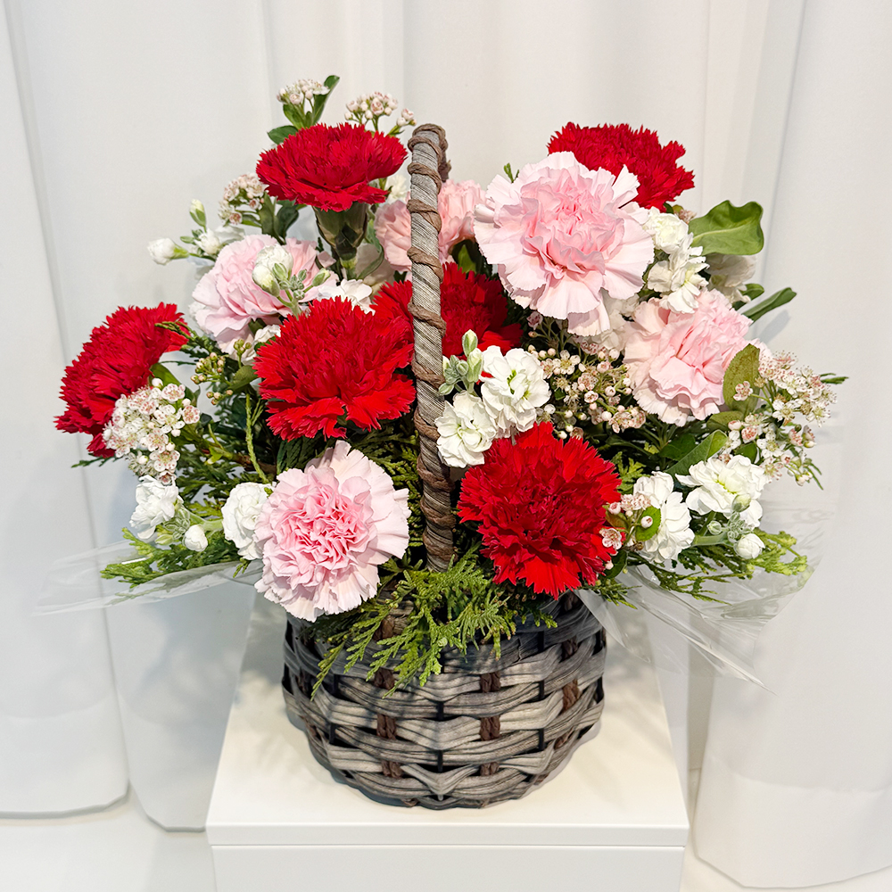 충북 청주 레드 핑크 카네이션 꽃바구니 어버이날 스승의날 꽃배달 부모님 선물 생화 농장직영