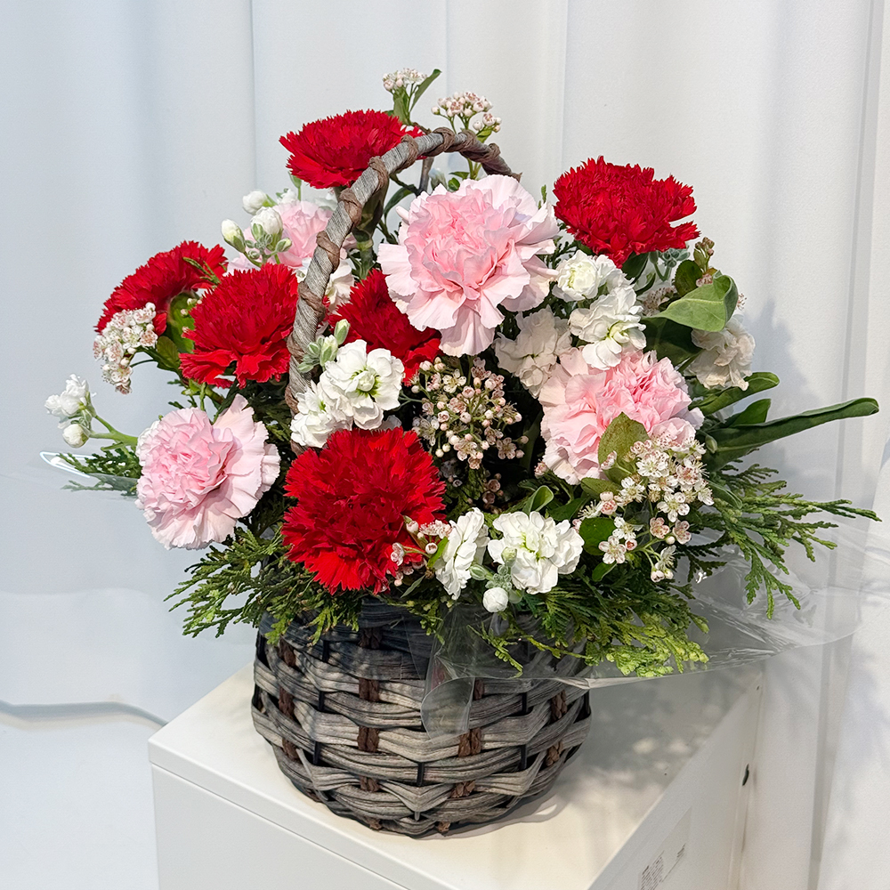 충북 청주 레드 핑크 카네이션 꽃바구니 어버이날 스승의날 꽃배달 부모님 선물 생화 농장직영