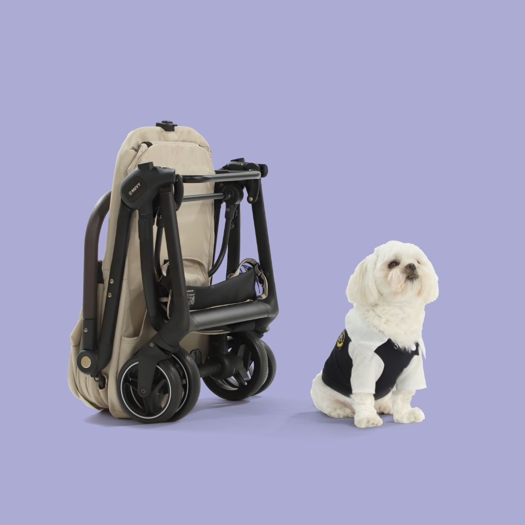 오토폴딩 강아지유모차 NUVY 누비 펫유모차 가벼운 개모차 애견 노견산책 샌드베이지, FREE(One size)