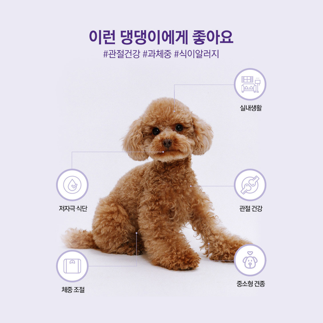 아이디얼레시피 울트라 조인트케어 관절 슬개골사료 3kg - 상세 이미지 2