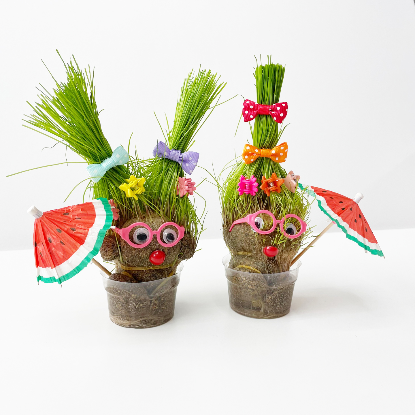 잔디인형 만들기 키트 반려식물 DIY 잔디 키우기 이미지 6