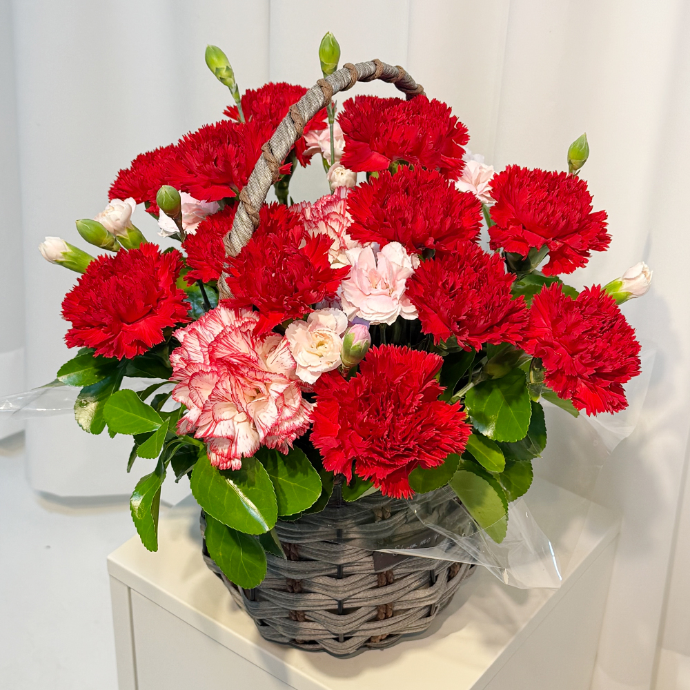전북 전주 레드 카네이션 꽃바구니 어버이날 스승의날 전국꽃배달 부모님 선물 생화 농장직영