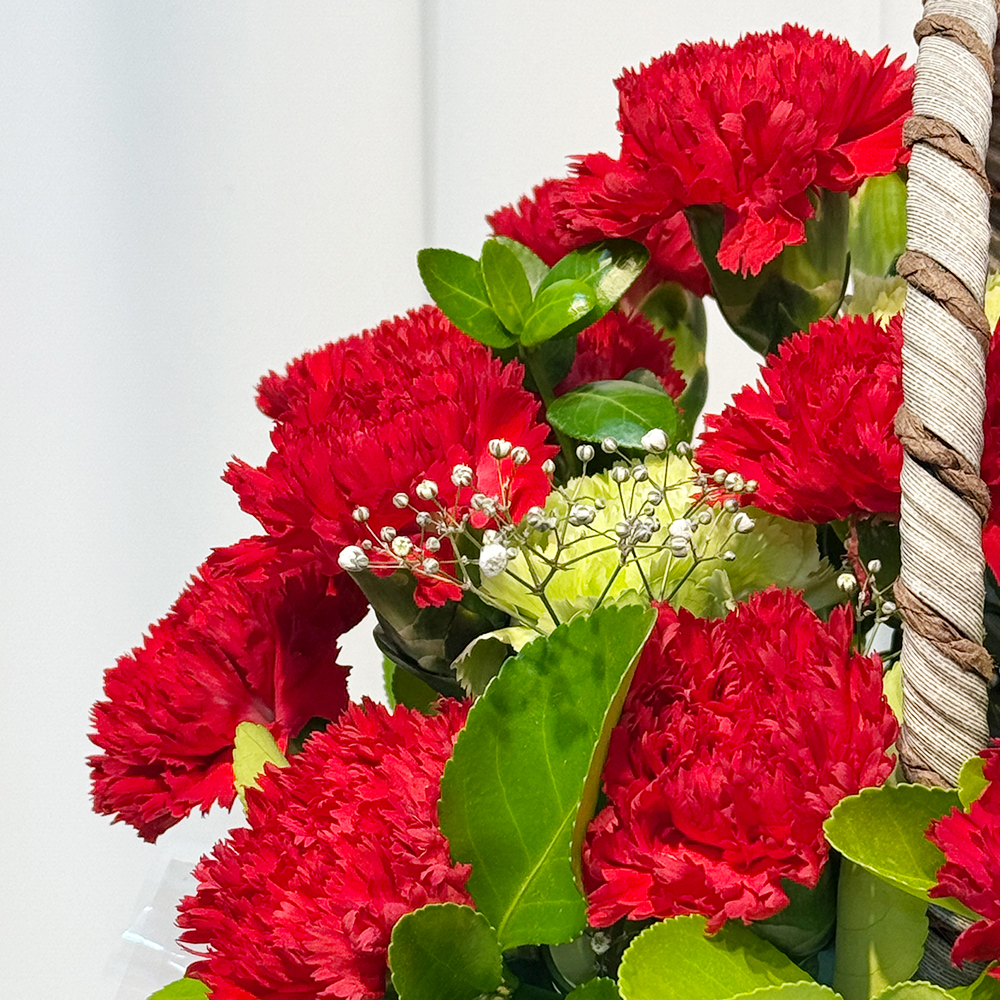 전북 군산 레드 카네이션 꽃바구니 어버이날 스승의날 전국꽃배달 부모님 선물 생화 농장직영