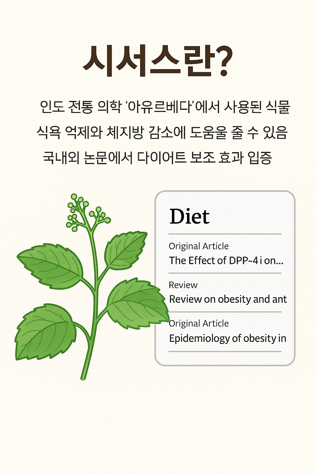 이소람네틴 시서스 가루 다이어트 14포 - 상세 이미지 3