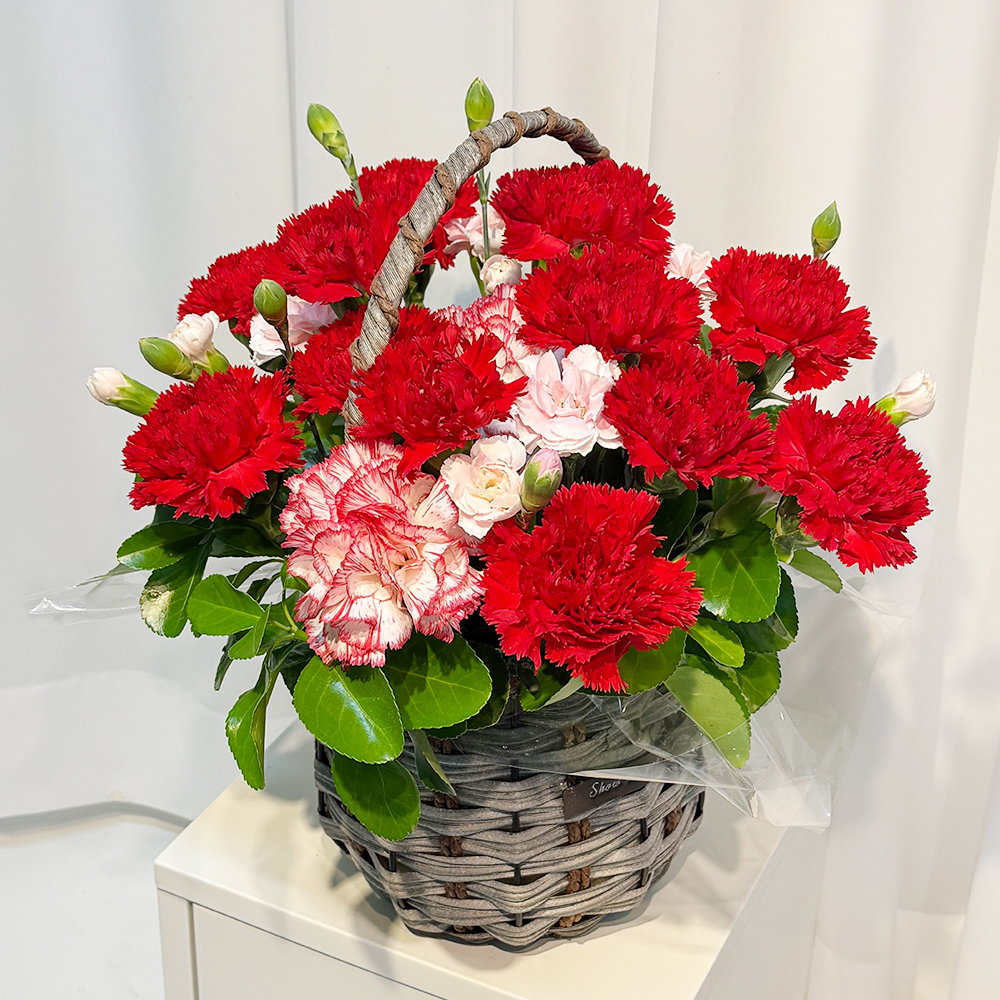 전북 전주 레드 카네이션 꽃바구니 어버이날 스승의날 전국꽃배달 부모님 선물 생화 농장직영