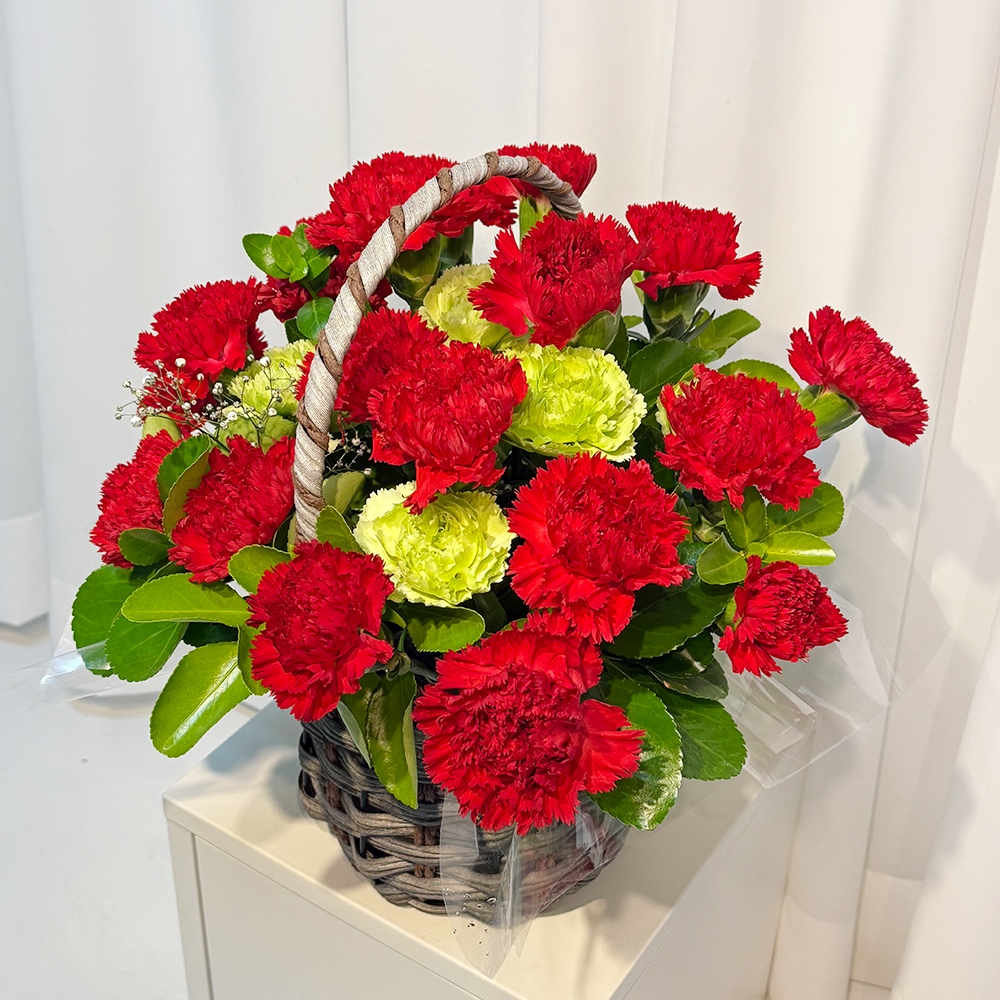 전북 군산 레드 카네이션 꽃바구니 어버이날 스승의날 전국꽃배달 부모님 선물 생화 농장직영