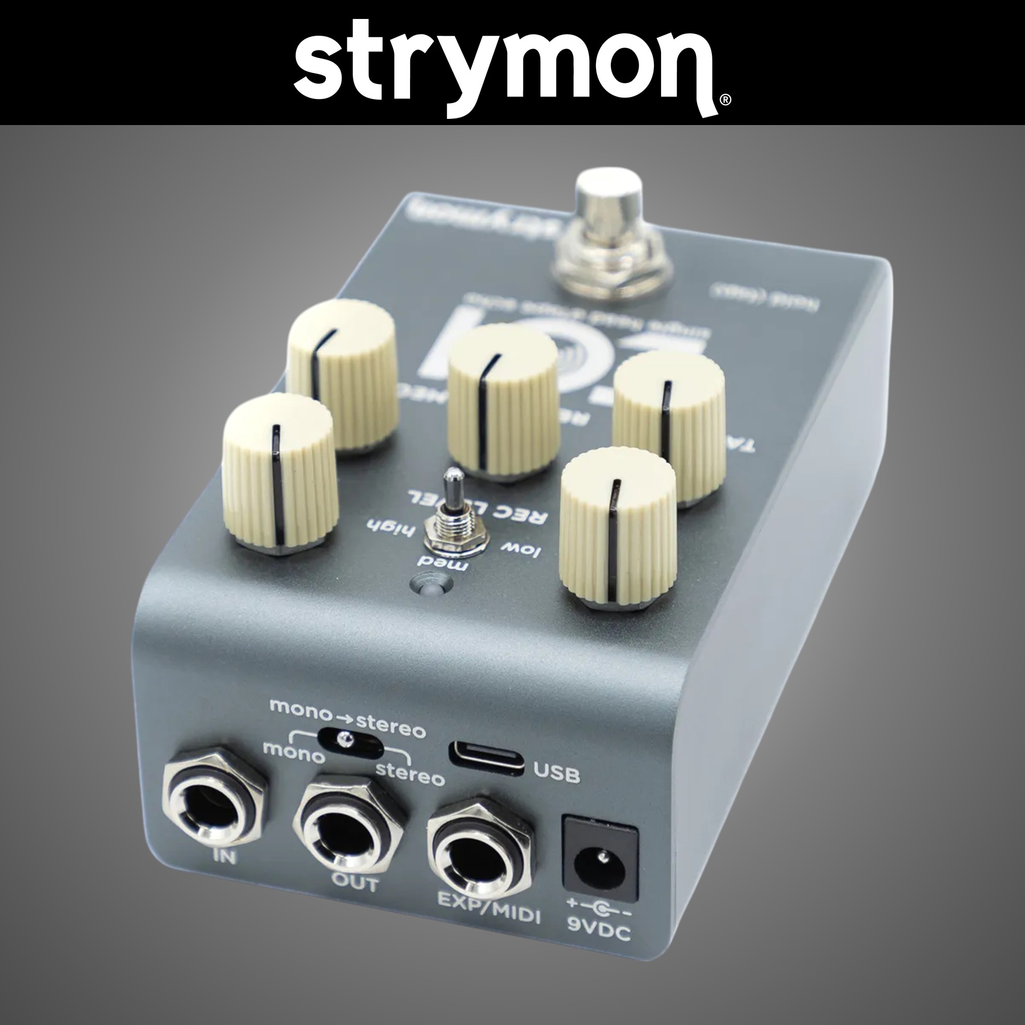 Strymon EC1 스트라이몬 싱글헤드 스테레오 테이프 에코 일렉기타 이펙터 - 상세 이미지 4