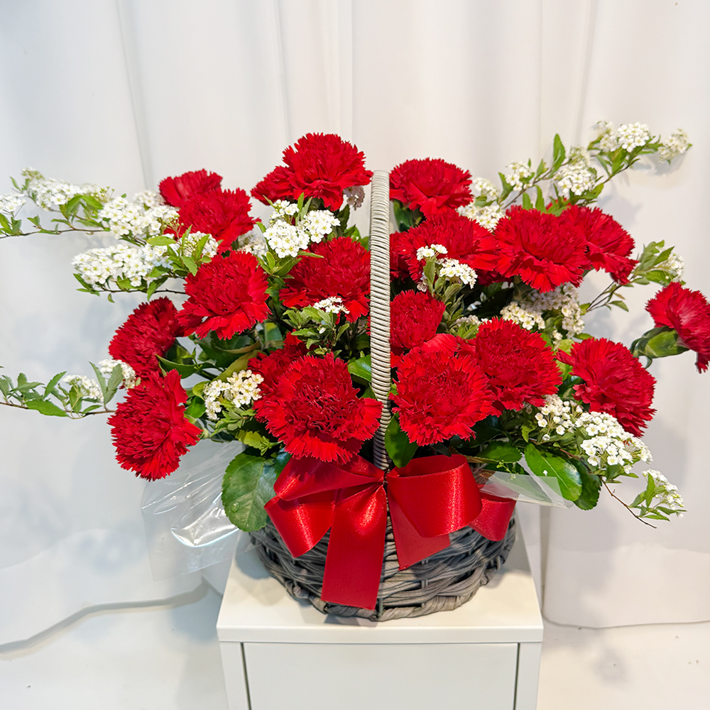 충남 서산 레드 카네이션 꽃바구니 어버이날 스승의날 꽃배달 부모님 선물 인사 생화 농장직영