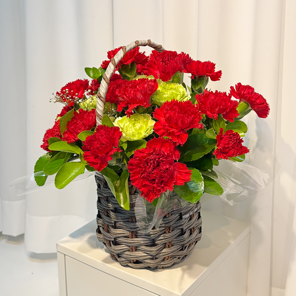 전북 군산 레드 카네이션 꽃바구니 어버이날 스승의날 전국꽃배달 부모님 선물 생화 농장직영