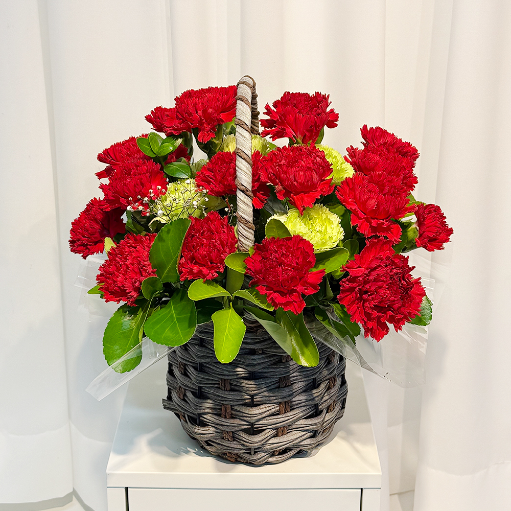 전북 군산 레드 카네이션 꽃바구니 어버이날 스승의날 전국꽃배달 부모님 선물 생화 농장직영