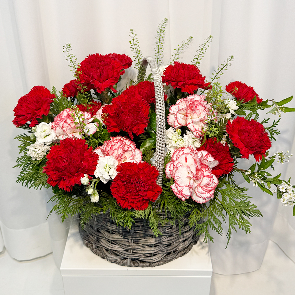 충남 보령 혼합 카네이션 꽃바구니 어버이날 스승의날 꽃배달 부모님 선물 인사 생화 농장직영