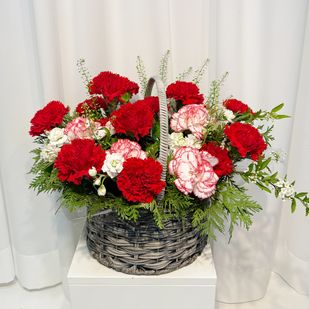 충남 보령 혼합 카네이션 꽃바구니 어버이날 스승의날 꽃배달 부모님 선물 인사 생화 농장직영