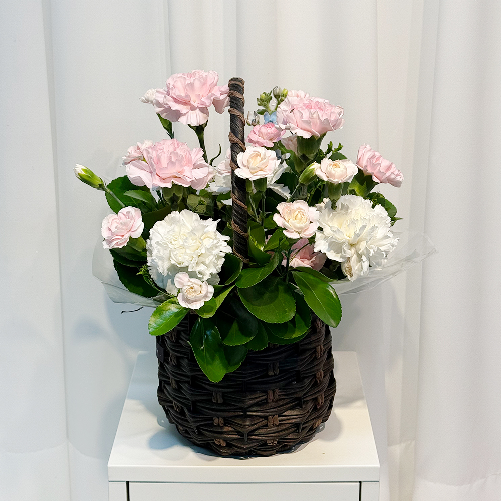 충남 계룡 혼합 카네이션 꽃바구니 어버이날 스승의날 전국꽃배달 부모님 선물 생화 농장직영