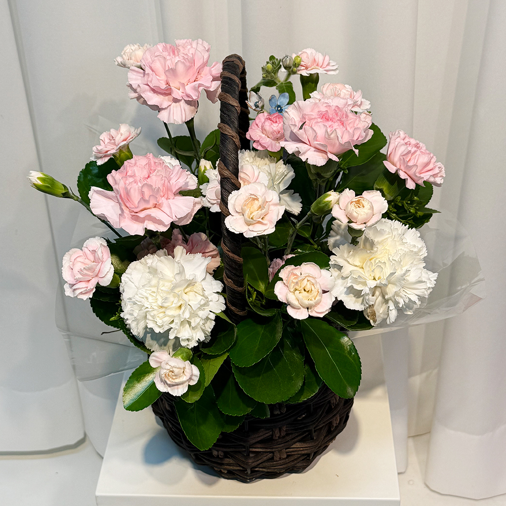 충남 계룡 혼합 카네이션 꽃바구니 어버이날 스승의날 전국꽃배달 부모님 선물 생화 농장직영