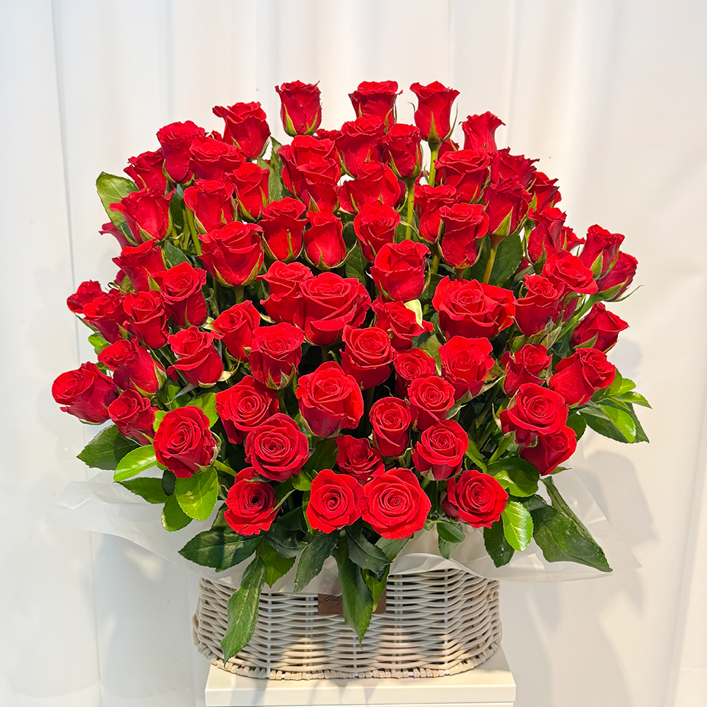 빨간 레드 장미100송이 프로포즈 이벤트 꽃바구니 전국 꽃배달서비스 꽃배송 로즈 생일 선물