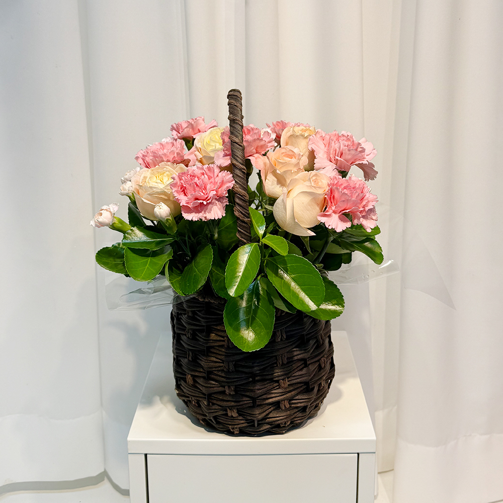 전북 남원 핑크 카네이션 꽃바구니 어버이날 스승의날 전국꽃배달 부모님 선물 생화 농장직영