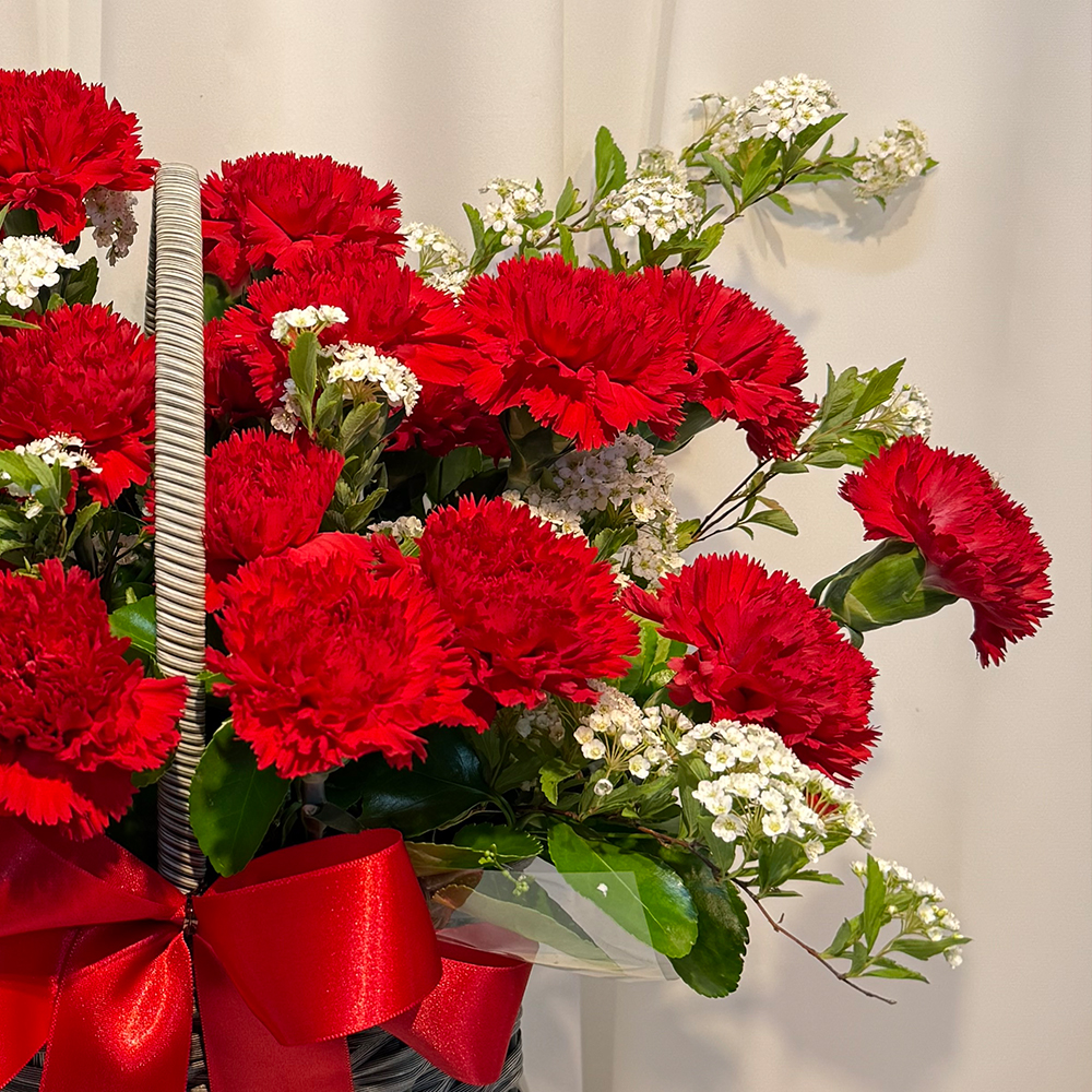 충남 서산 레드 카네이션 꽃바구니 어버이날 스승의날 꽃배달 부모님 선물 인사 생화 농장직영