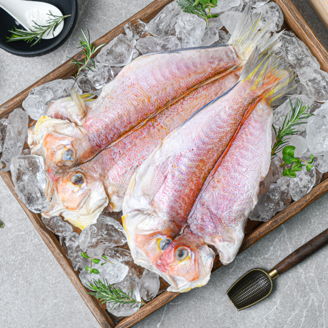 [서귀포수협] 제주 반건조 옥돔(대) 2호 200g x 5팩 부직포가방 - 상세 이미지 2