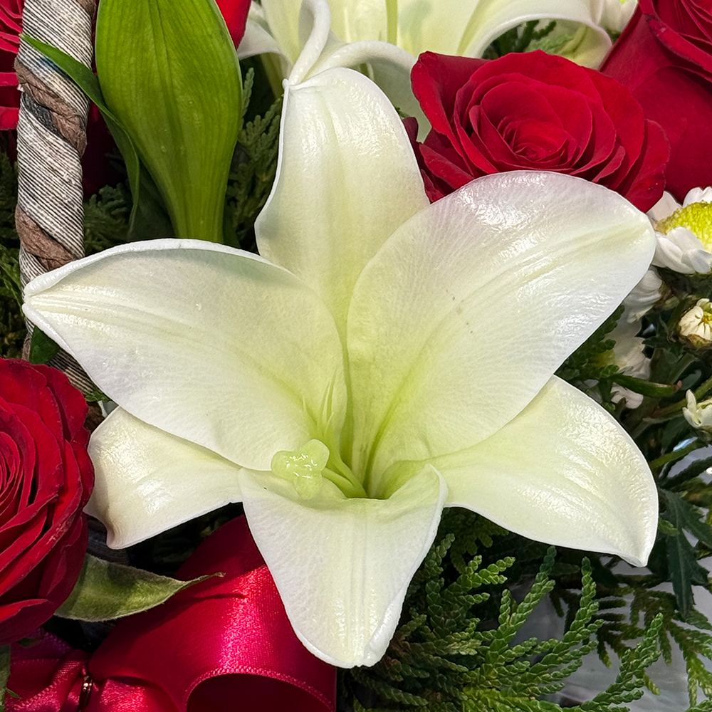 충남 천안 백합 장미 꽃바구니 플라워 생화 생일 기념일 발렌타인데이 축하 감사 전국꽃배달