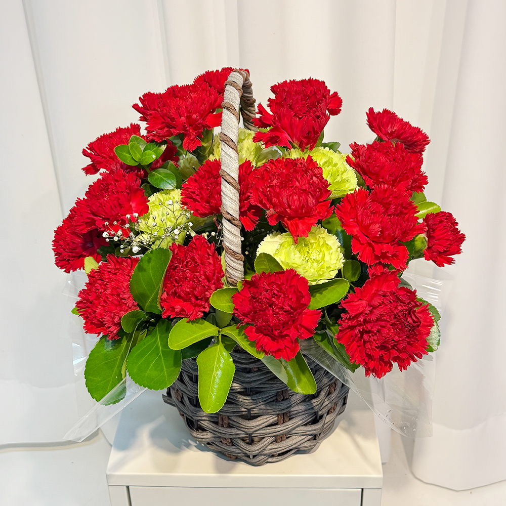 전북 군산 레드 카네이션 꽃바구니 어버이날 스승의날 전국꽃배달 부모님 선물 생화 농장직영
