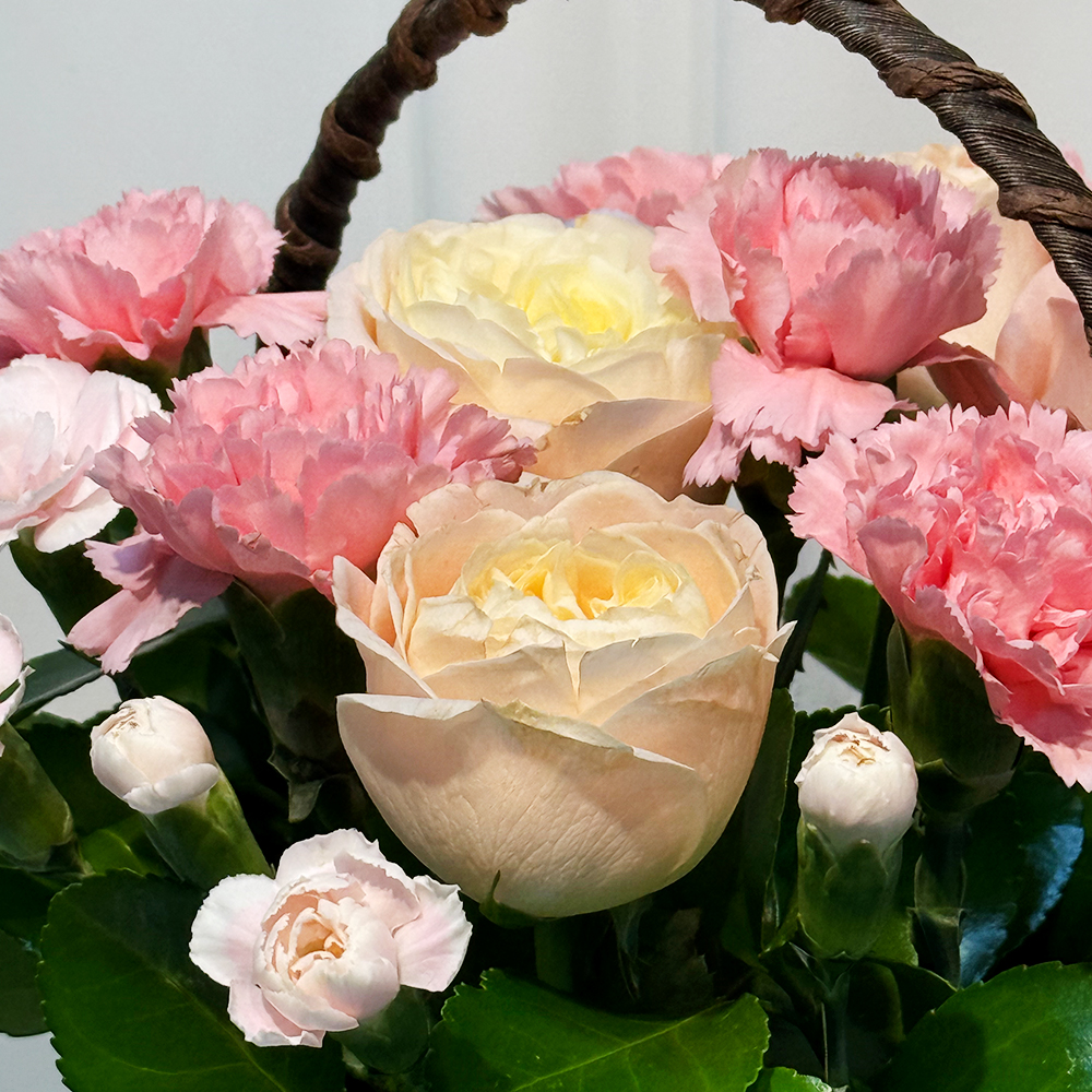 전북 남원 핑크 카네이션 꽃바구니 어버이날 스승의날 전국꽃배달 부모님 선물 생화 농장직영