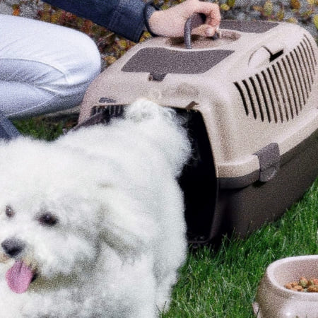 지앤리협력사 지앤리샵 스테판플라스트 걸리버2 철문 파우더핑크 강아지캐리어 반려동물이동가방 강아지이동장