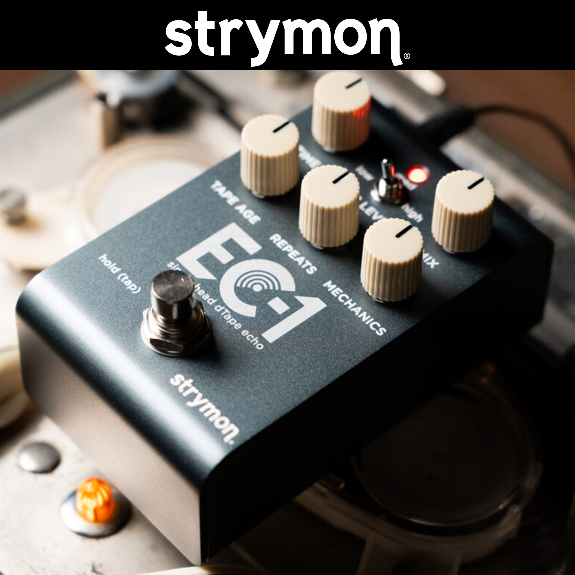 Strymon EC1 스트라이몬 싱글헤드 스테레오 테이프 에코 일렉기타 이펙터 이미지 7