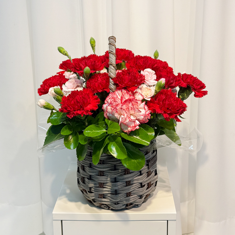 전북 전주 레드 카네이션 꽃바구니 어버이날 스승의날 전국꽃배달 부모님 선물 생화 농장직영