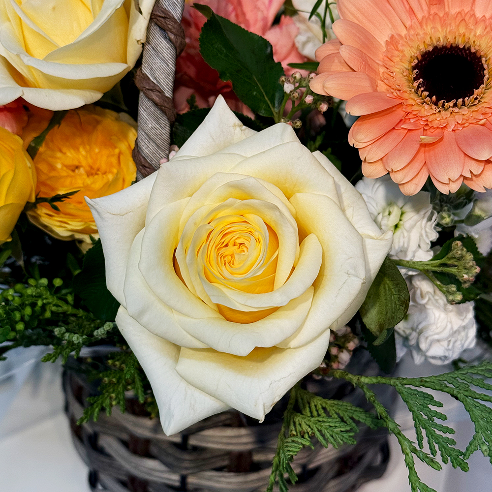 충북 제천 혼합 꽃바구니 플라워 생화 생일 기념일 발렌타인데이 축하 감사 인사 전국꽃배달