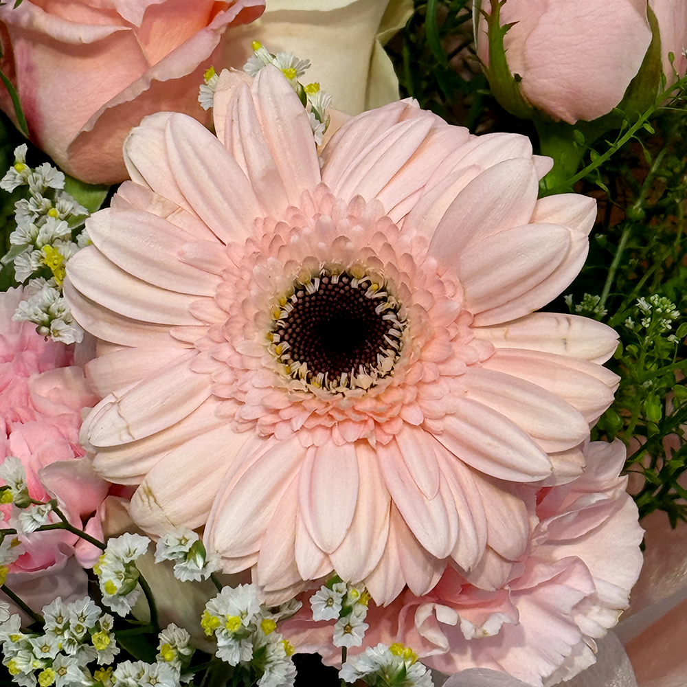 전북 정읍 혼합 꽃다발 전국꽃배달 이벤트 생일 프로포즈 서프라이즈 축하 선물 생화 농장직영 - 상세 이미지 3