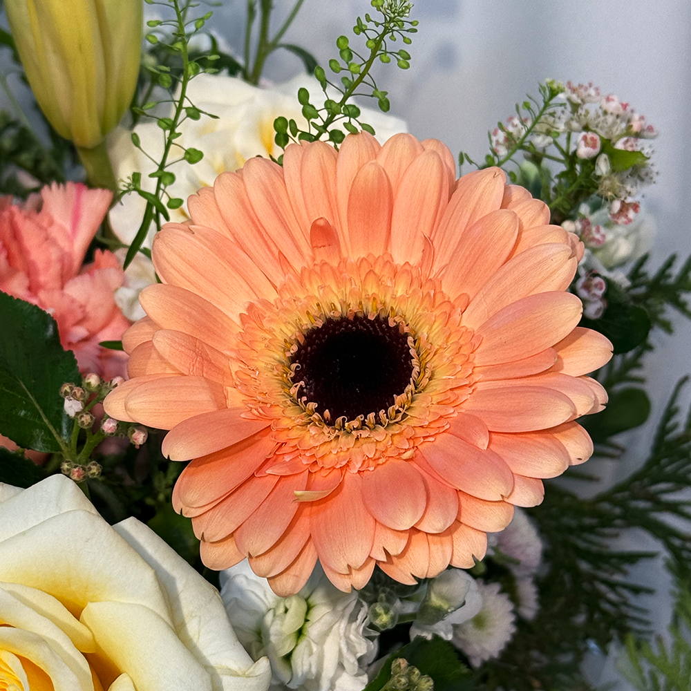 충북 제천 혼합 꽃바구니 플라워 생화 생일 기념일 발렌타인데이 축하 감사 인사 전국꽃배달