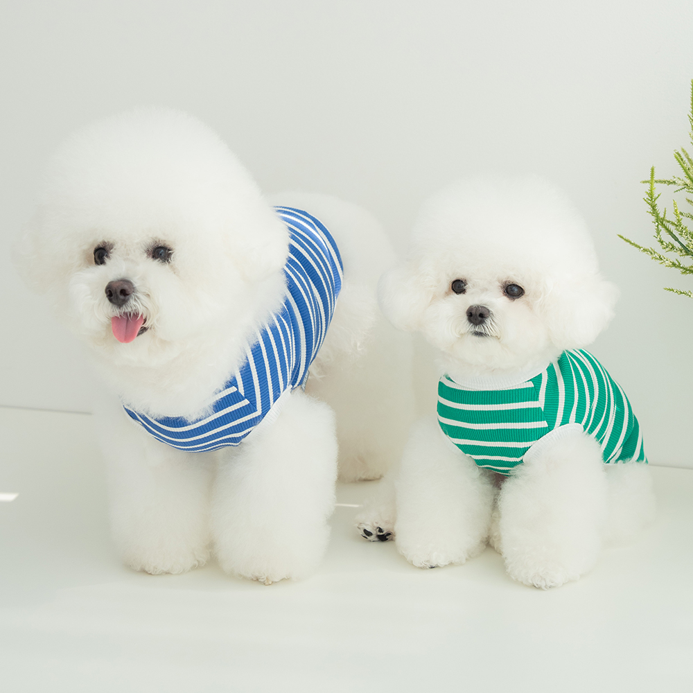 강아지 실내복 겨울옷 티셔츠 강아지옷 로키 1+1기획세트 - 상품 이미지
