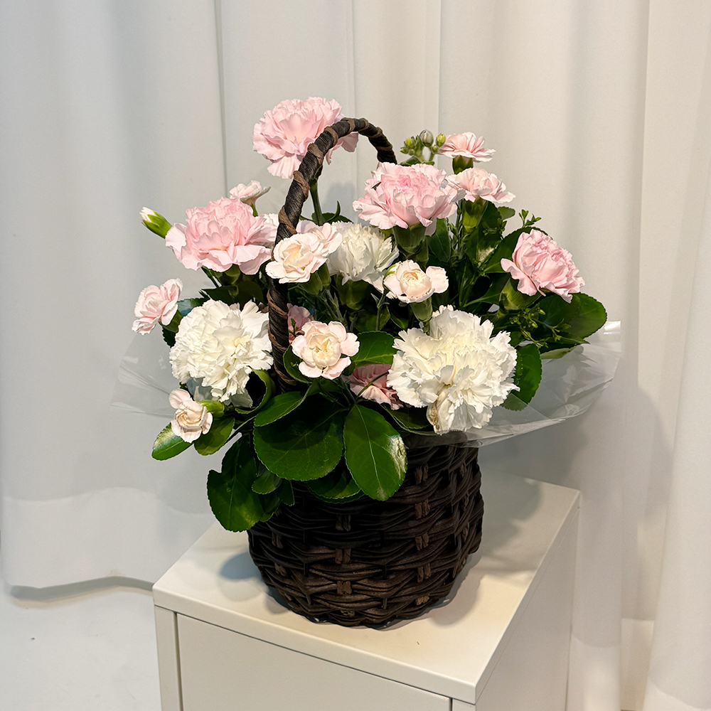 충남 계룡 혼합 카네이션 꽃바구니 어버이날 스승의날 전국꽃배달 부모님 선물 생화 농장직영