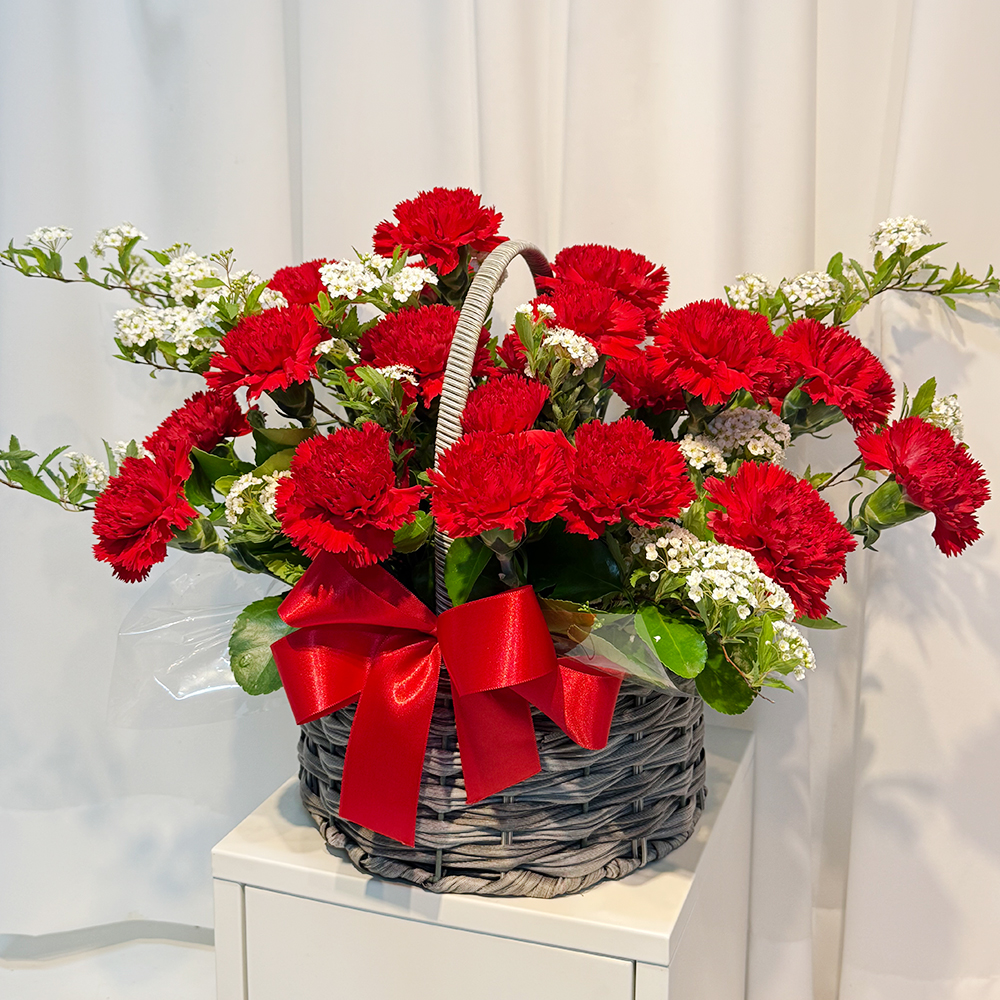 충남 서산 레드 카네이션 꽃바구니 어버이날 스승의날 꽃배달 부모님 선물 인사 생화 농장직영